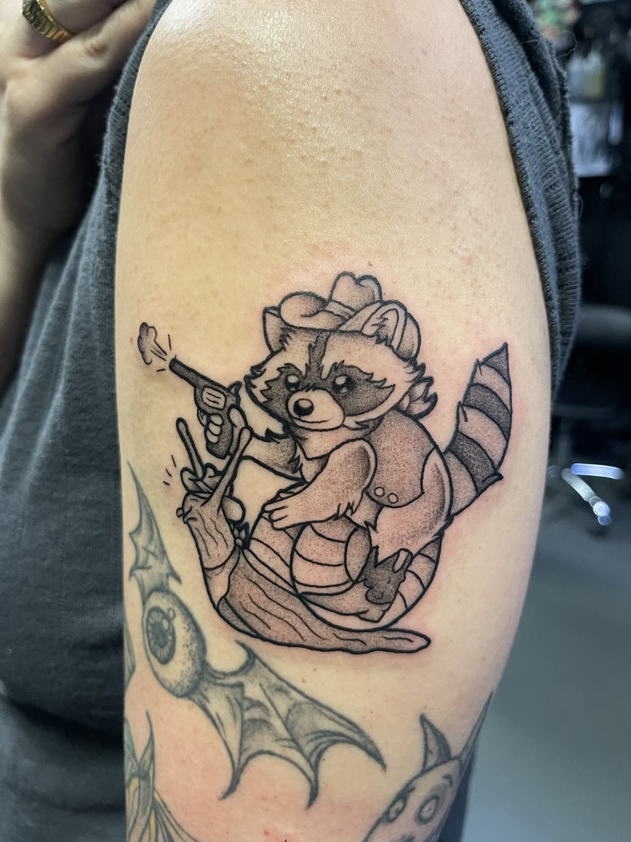 Raccoon sheriff from this week 

Dallas, TX
