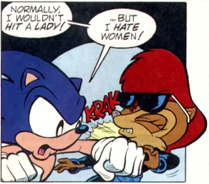 MoebianAcorn's tweet photo. —También odia a sonic por eso.— https://t.co/futkE3LrAc