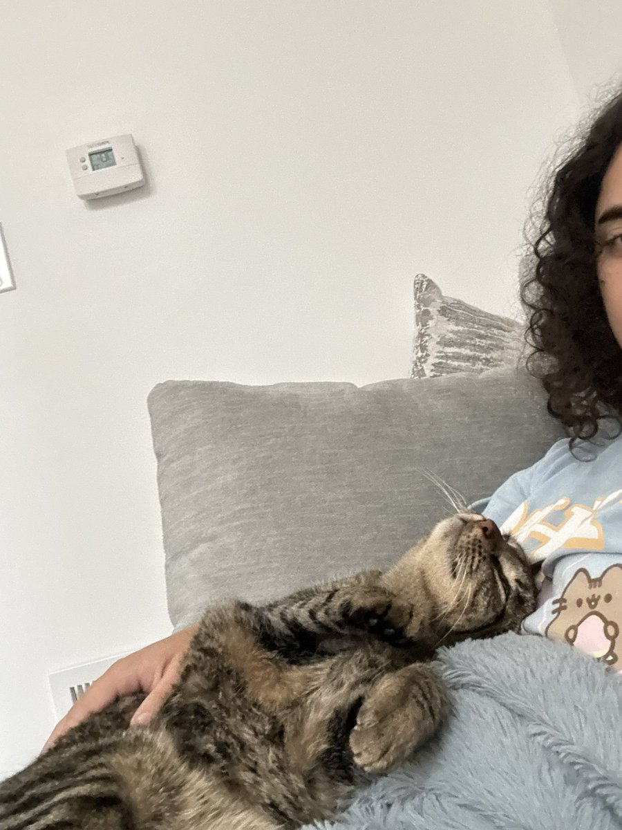 _stephonme_'s tweet image. The best snuggles