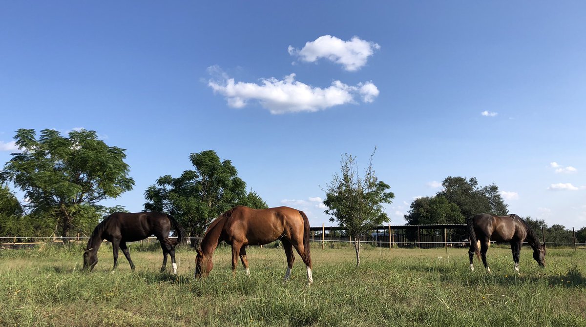 Never imagined something as nice as this