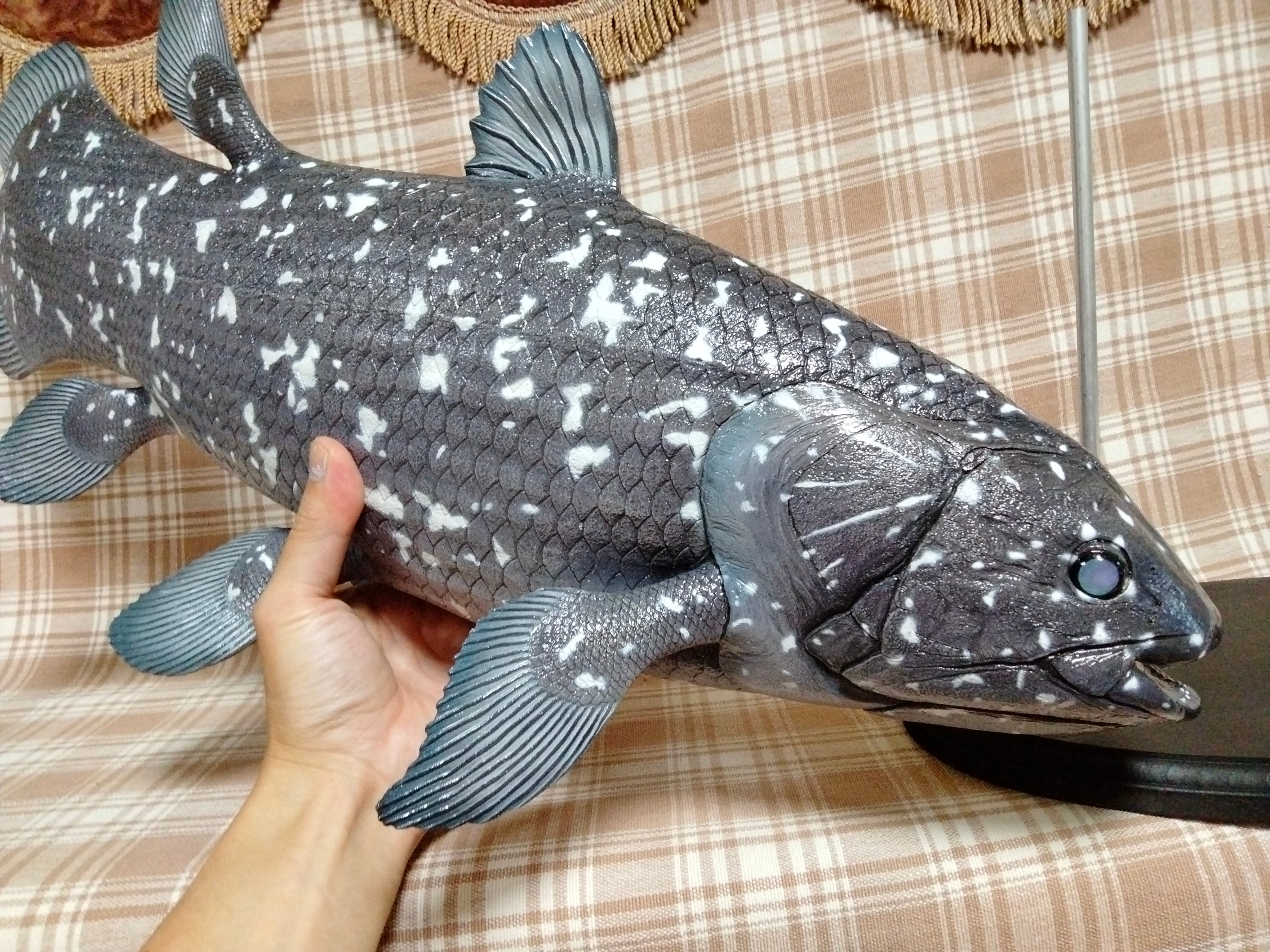 fish craft REAL (@gladiator12827) / X