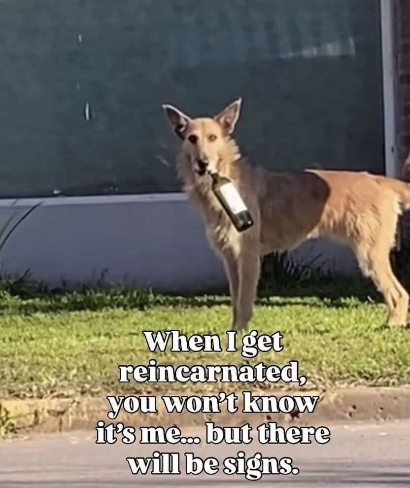 Retro-Aberration (@aberrationretro) on Twitter photo 