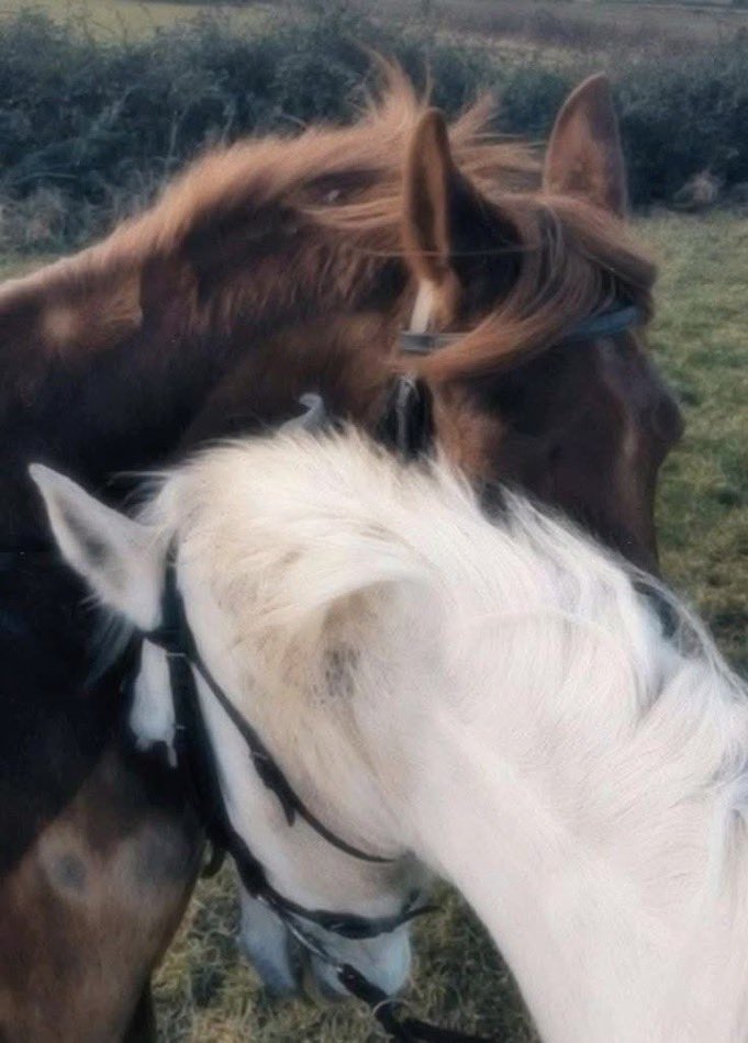 𝓅𝑜𝓋𝓂𝑒𝓂𝑜𝓇𝓎 (@povmemory) on Twitter photo 