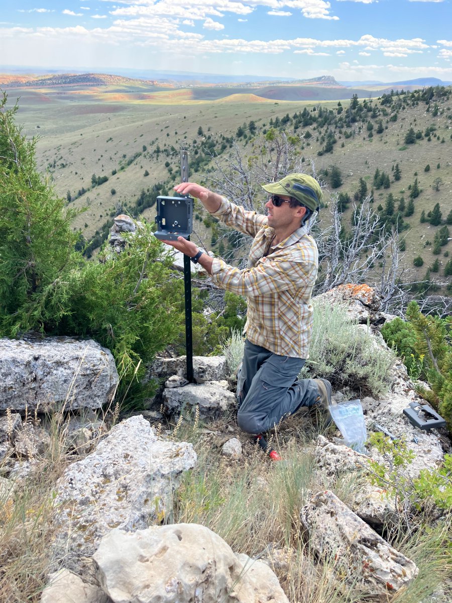 USGS in Montana tweet media