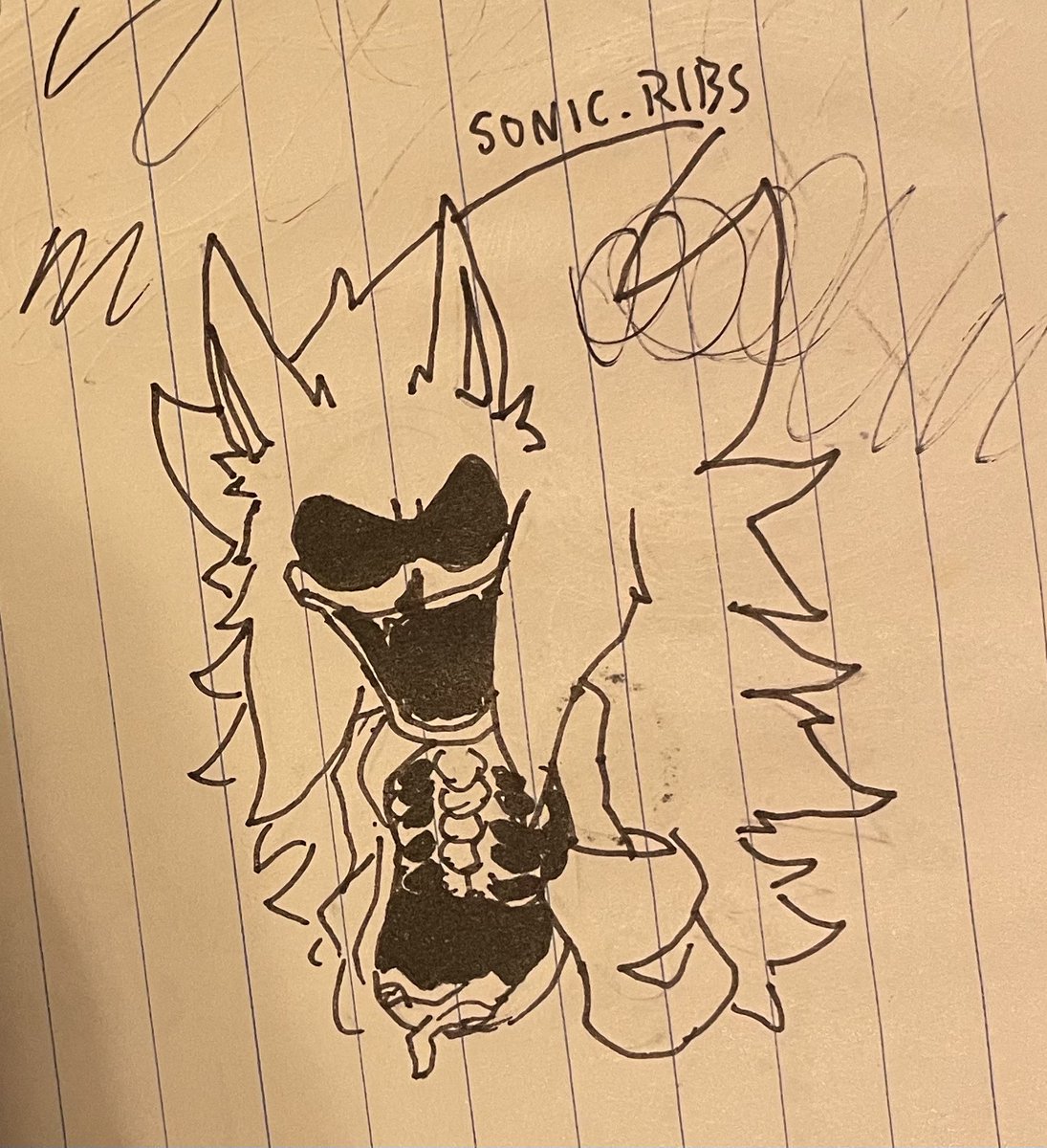 was looking through old sketchbooks and found a Sonic.RIBS drawing from November 2024 so why not show it i guess despite it being old and me not liking it that much
