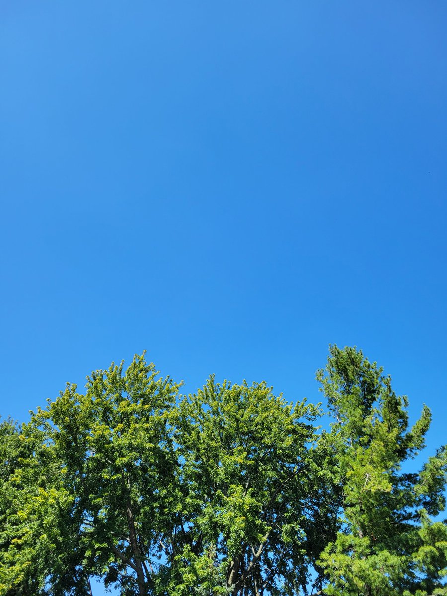 LydiaAngelRose's tweet image. #RememberTheSky #NeverForget911