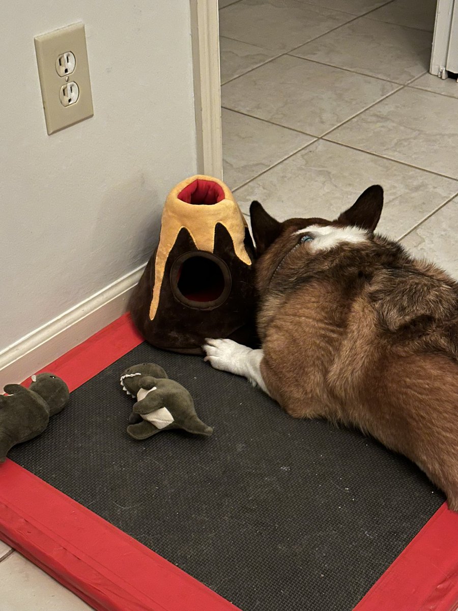 Keeping my volcano safe from the cats. #CorgiCrew