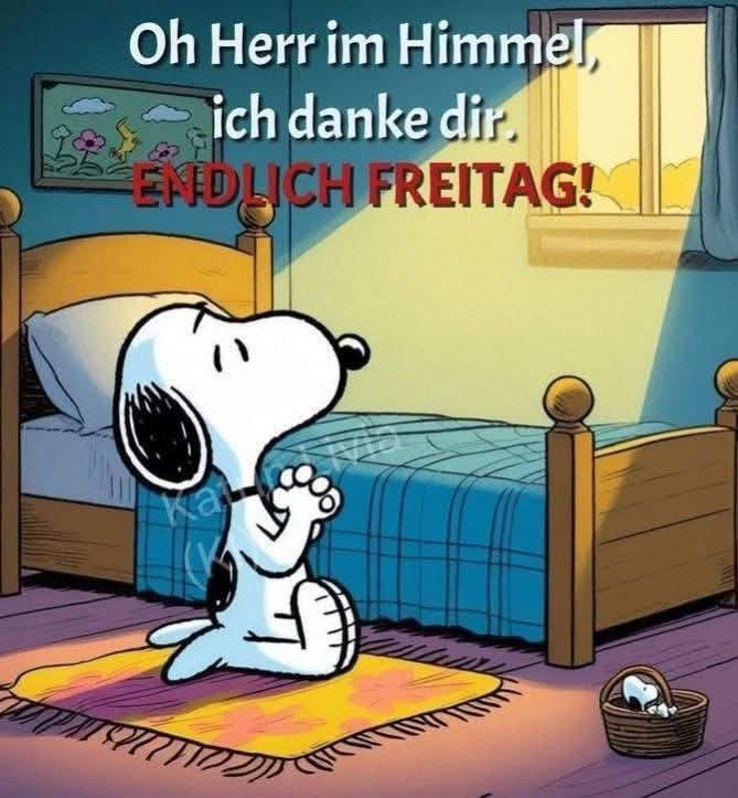 Hallo ihr Lieben👋, ich🙋‍♂️ wünsch euch allen👨‍👩‍👦‍👦 ne schöne gute Nacht🌃 mit nem erholsamen Schlaf😴 und netten Träumen🧸. 🫂💗🌷🌻