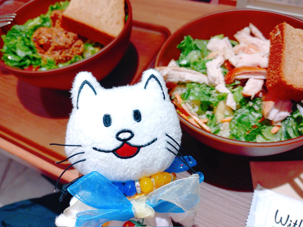 お友達とずっと憧れてたサラダボウルLunch😋🥗🍴
もともと野菜は好きな方だけど最近健康志向で色んなサラダに興味👀🥦✨
Sサイズでこのボリューム😳🥗!!
お腹いっぱい🤤💓

健康志向!!とか言いながらしっかりスタバで糖分摂取w😎🧁🥤💕
洋梨生キャラメルフラペチーノめちゃくちゃ美味しかったよ🤤🍐💗