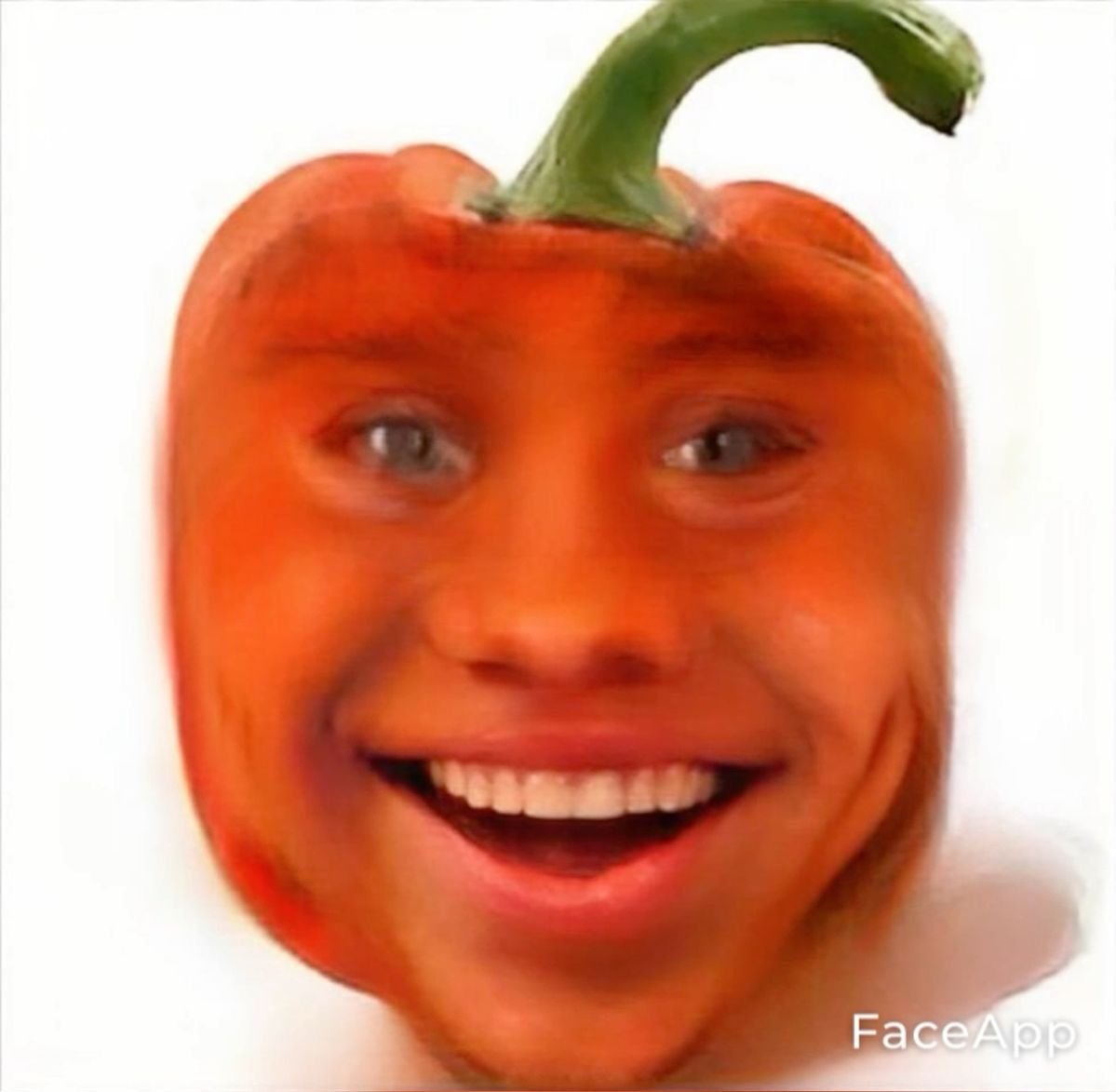 ‎ ‎ 冫 ‎ * 🔗 ZOEYBBL!⁎‎ ‎ ‎ ‎ ‎(H) tweet media