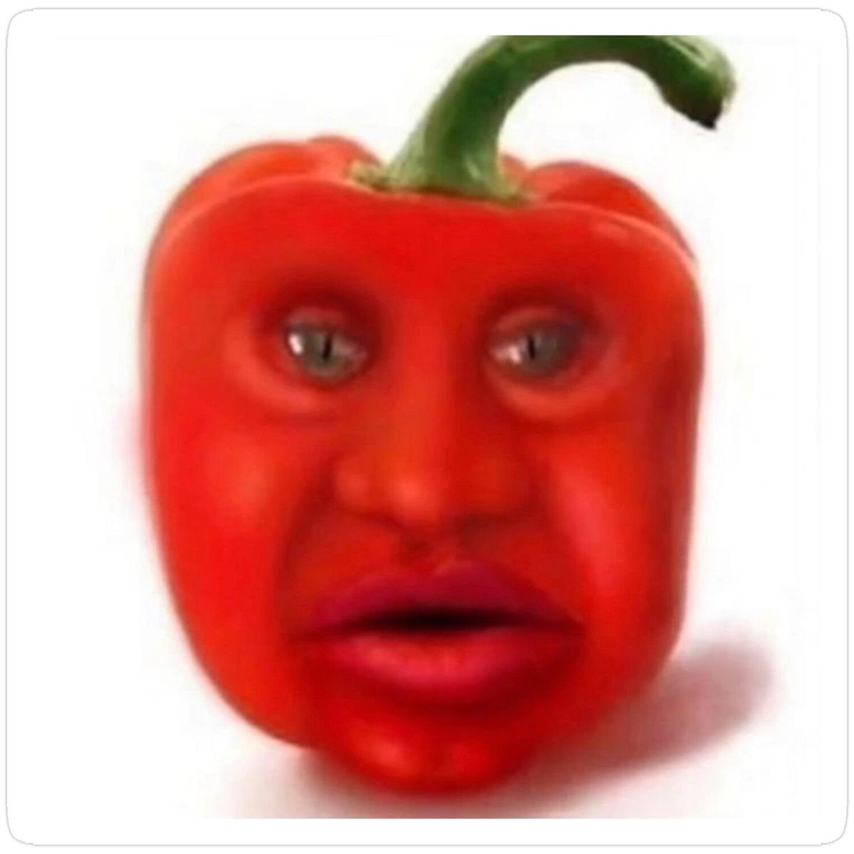 ‎ ‎ 冫 ‎ * 🔗 ZOEYBBL!⁎‎ ‎ ‎ ‎ ‎(H) tweet media