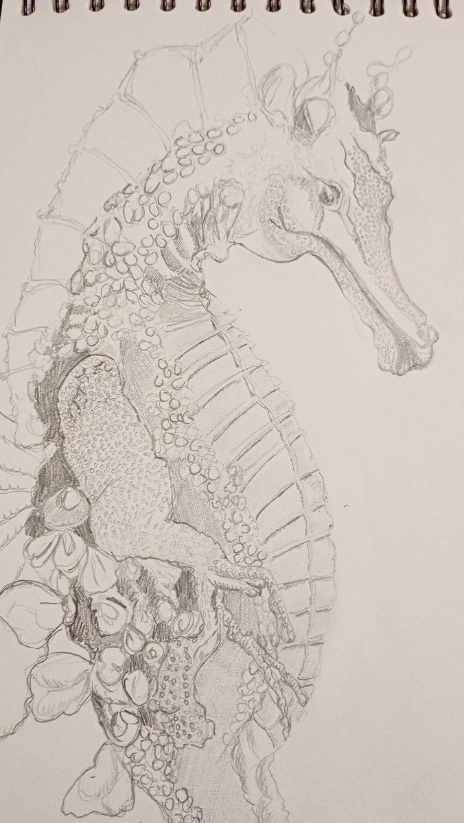 RedenimC's tweet image. This is one of my sketches I'm hoping to convert it into a PES embroidery using Brother, Design Doodler or EL Software when I've finally mastered the basics. #ELSoftware  @Brother_UK
#handdrawing @artyfartystuff @AnythingGoesL @sewingbee @BritishVogue