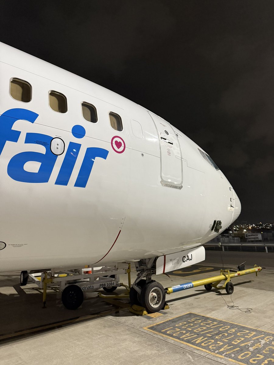 Steve Giordano tweet media