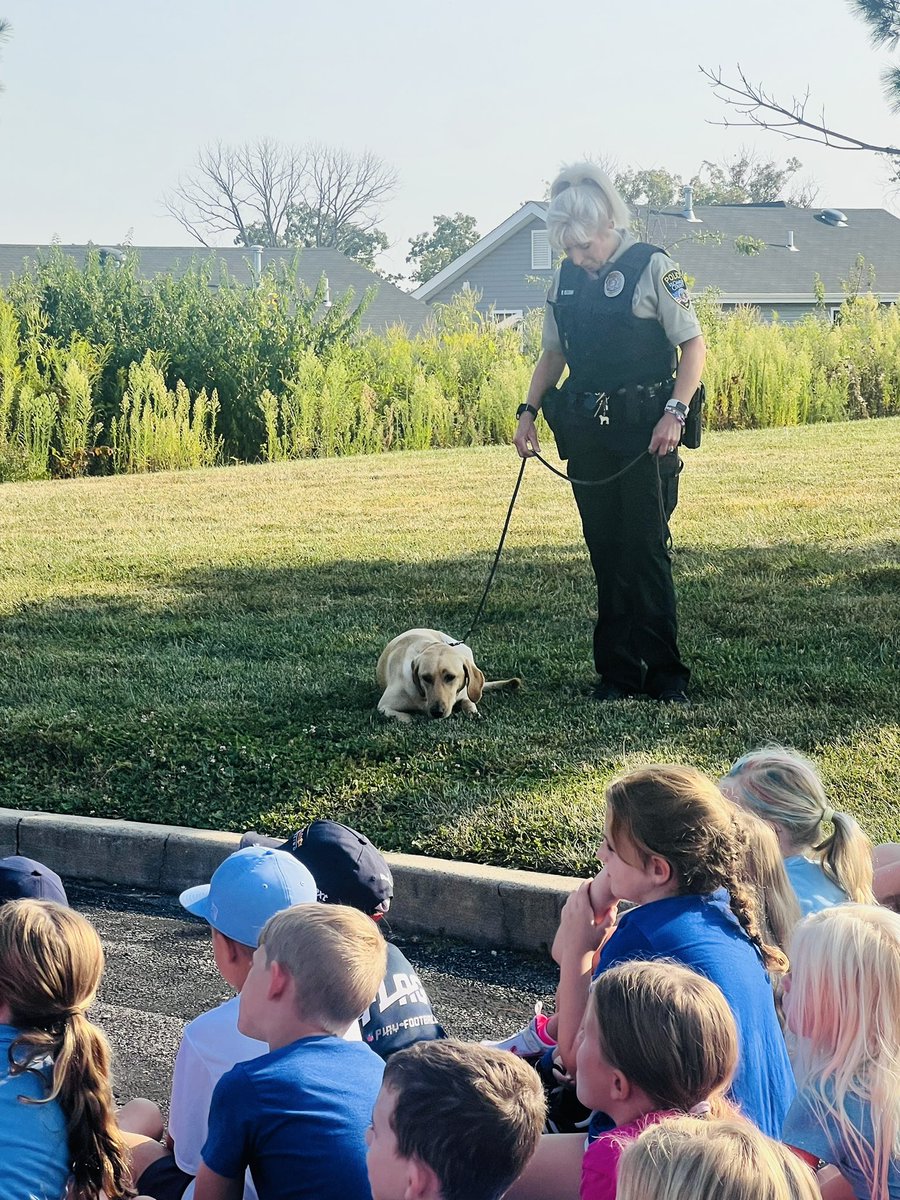 Mrs. Reed- Duello Elementary tweet media