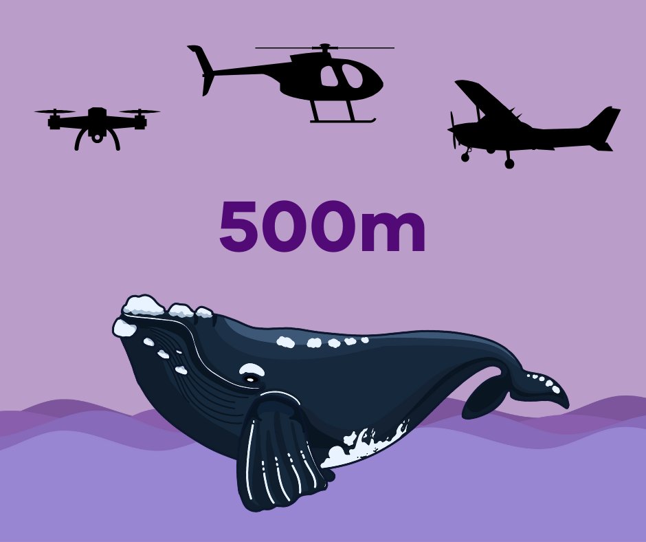 Conservation Regulator Vic tweet media