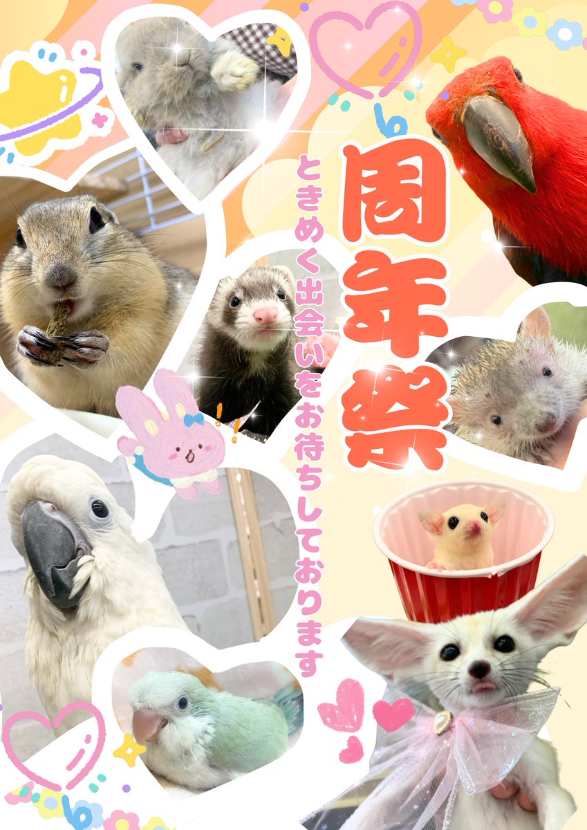 amigo5150's tweet photo. 今日から1周年際のチラシが始まります！
ご来店お待ちしております！( ᎔˘꒳˘᎔)✨
 #アミーゴ鳳 https://t.co/lOfgoaM3GU