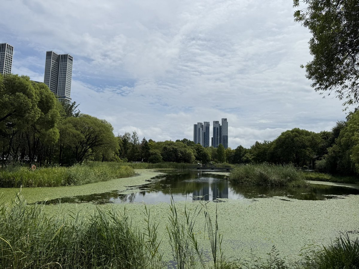 이종우 peter lee tweet media