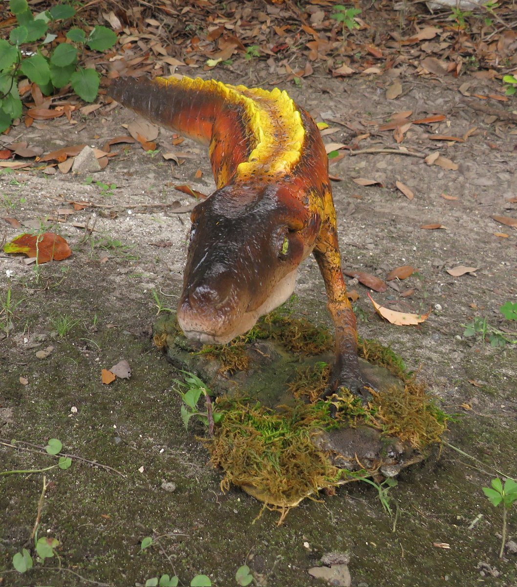 Lyn Joyce tweet media