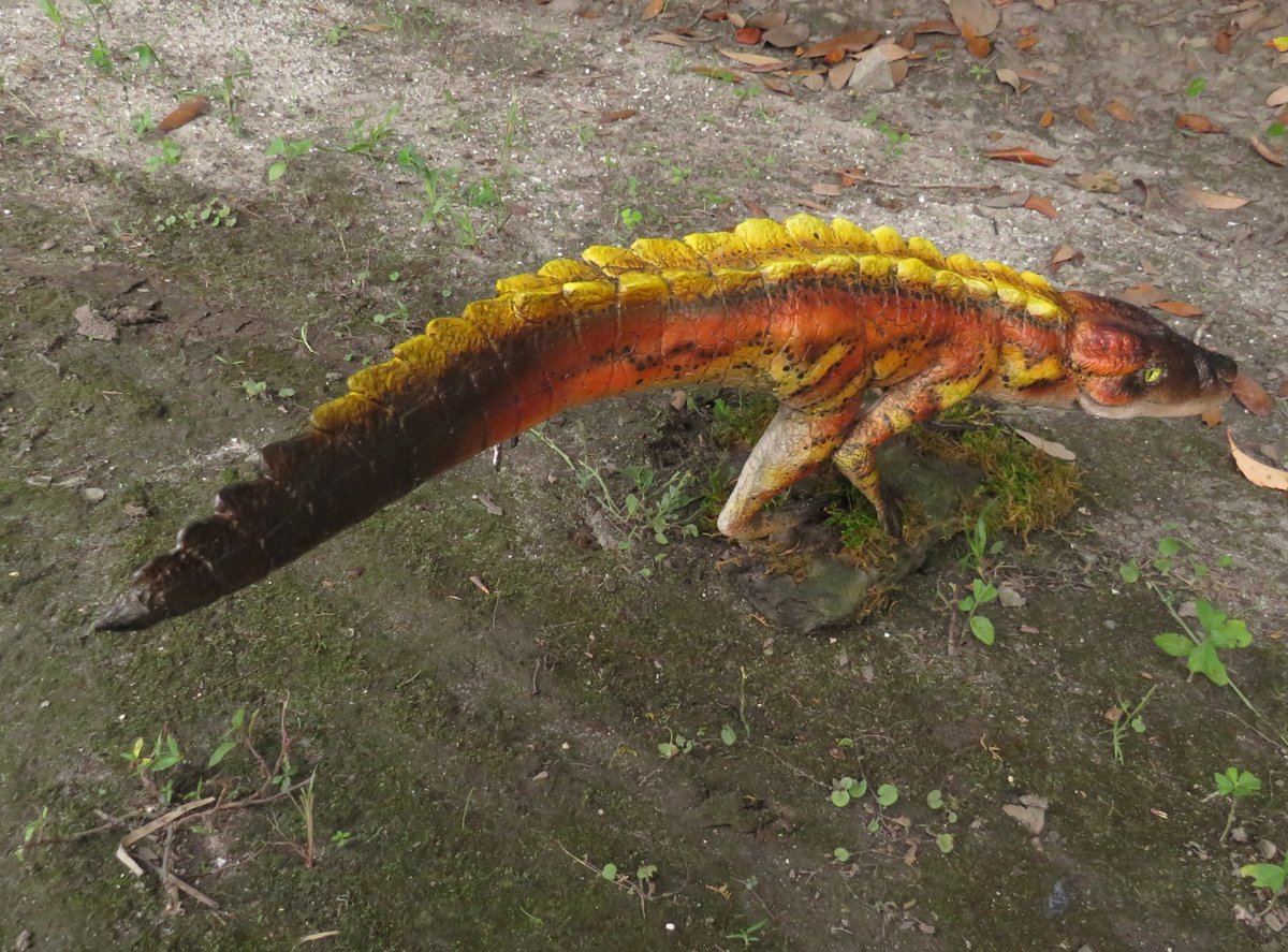 Lyn Joyce tweet media