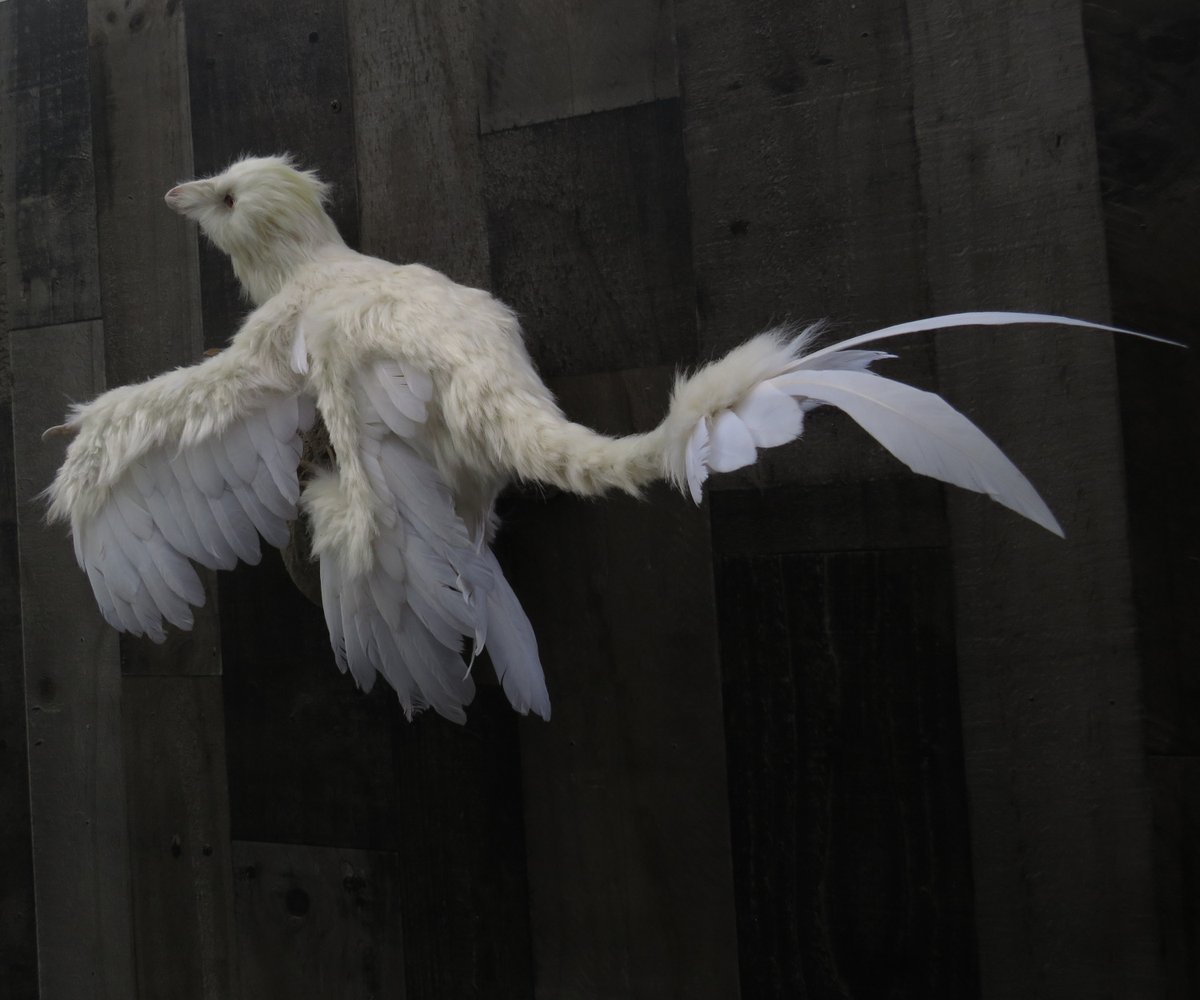 Lyn Joyce tweet media