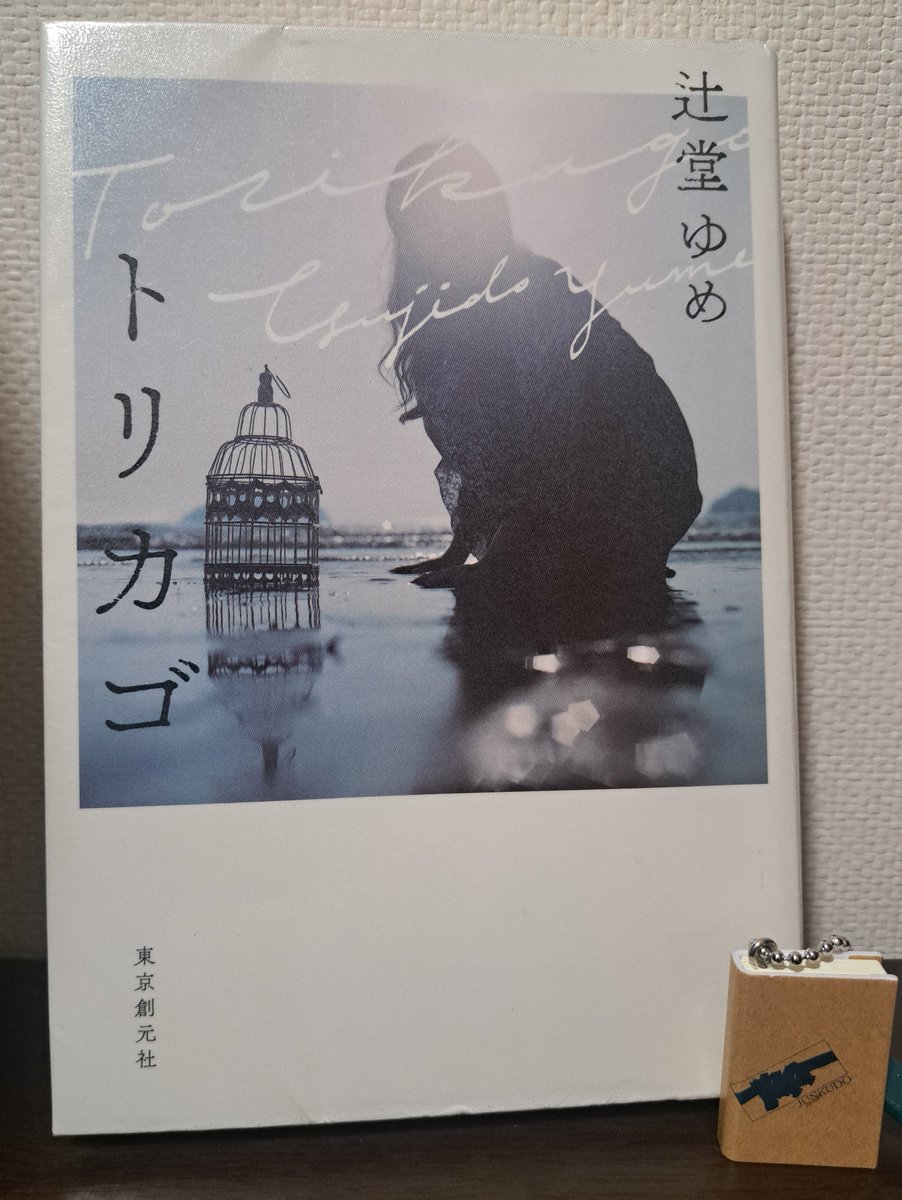 辻堂ゆめ 著
『トリカゴ』

殺人未遂事件の容疑者が無戸籍である事をきっかけに明らかとなる様々な真実ー。

ミステリ要素が端正で、好感が持てる登場人物が多かったです。
知識のなかった「無戸籍」についても、深く考える機会を得ることができました。

ぜひ読んでいただきたい傑作です！！

#読了