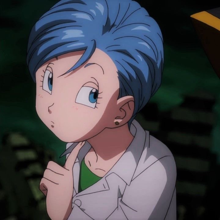 Daily Bulma tweet media