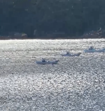 lyingBOTShm0c's tweet photo. #TaijiJAPAN🇯🇵: ...and after 3 days of sheer Hell, here we are again, as the #DolphinHunters have found yet another pod and are chasing them full force. PLEASE let these poor Cetaceans escape before they are driven into the deadly Cove! 🐬🐳Watch LIVE🇯🇵 https://t.co/YrEVdyjuQp https://t.co/ss3c9HGSxg