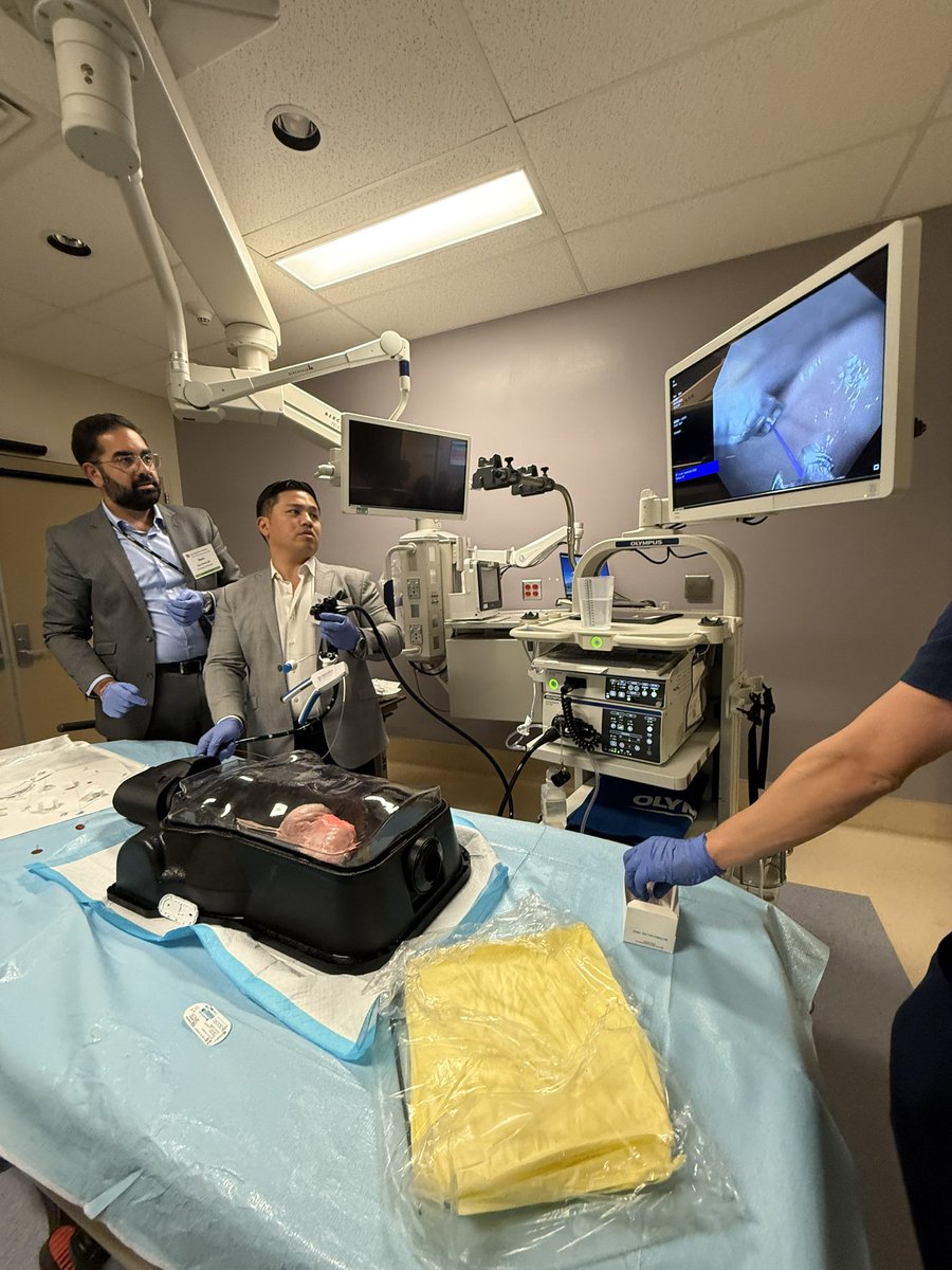 🌟 Just wrapped up an incredible Fellows Course at RMIE 2025!

✅ Great lectures
✅ Hands-on workshops with:
• ERCP – Cholangioscopy ± biopsies, baskets ± EHL
• FTRD &amp; resection
• EUS – pseudocyst drainage
• Defect closure
• Third space (POEM &amp; ESD)

Huge thanks to