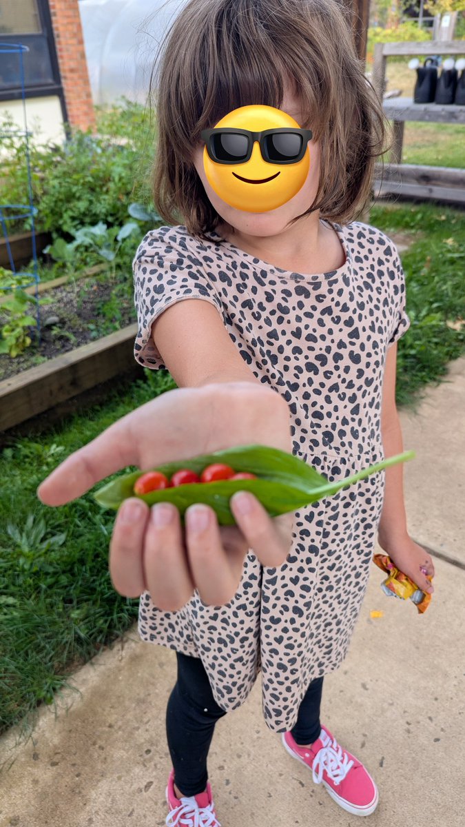 Bear Tavern OLA... harvest time! #BearTavernPride
