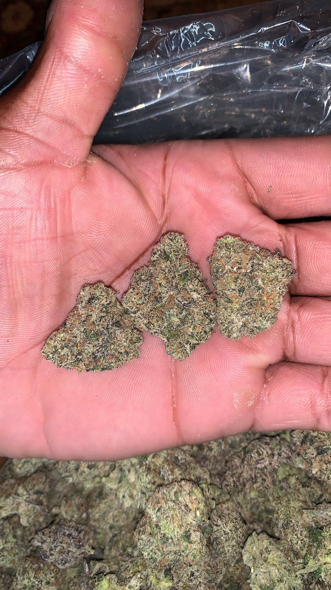 JetBagsx's tweet photo. Terp 75 eighth 
Exotic 100 zips
Indoor 65 zips
Deal qtr of za and pack of terp 90
MOBILE ALL OVER
#atlanta #atl #tweed #plug #atlplug #gas #gsu #buckhead #cau #georgiatech #atlfreaks #atlantameets #atlantahookups #atl #atlanta #weed #gas #plug #weedman #collegepark #eastpoint https://t.co/KnuhlDALRx