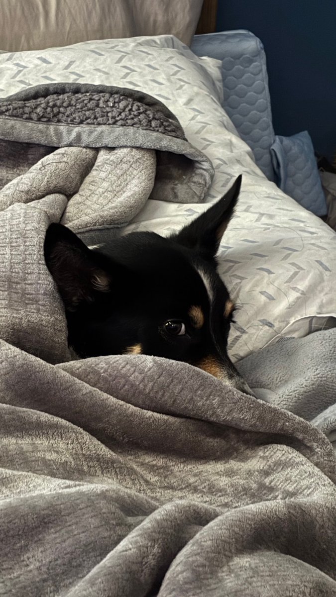 Mojito says take a nap