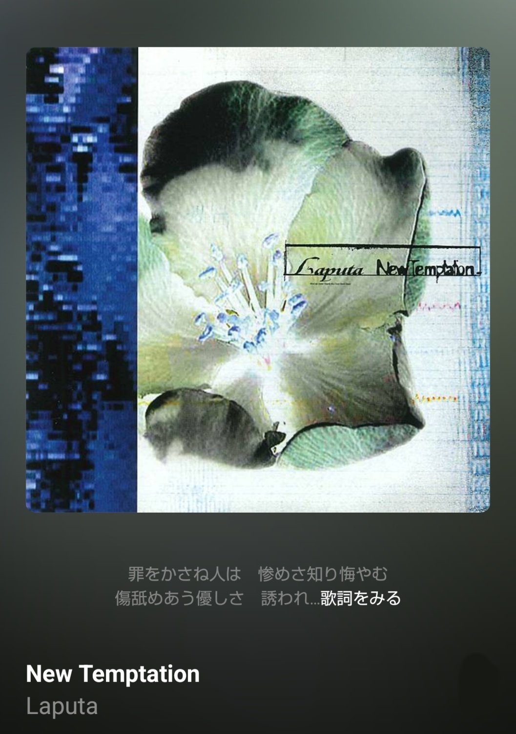 邦楽 Laputa Without your Love & ALL BURST Laputa All Burst (@Laputa_AllBurst) / X