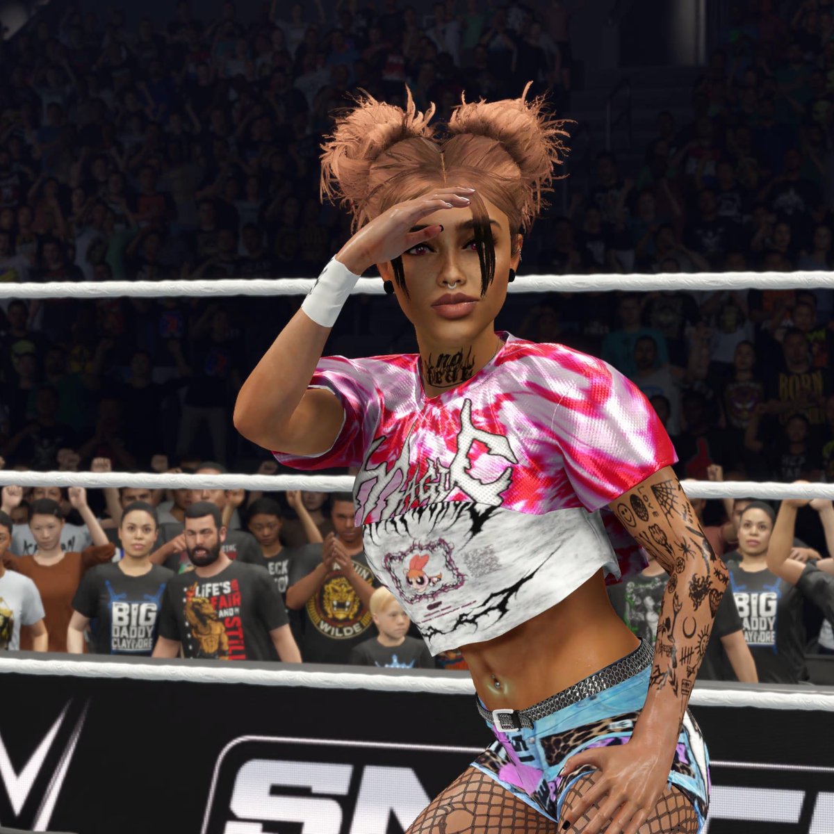 PSA / FAQ cause I hate this question:

All of my UPLOADED caws are FREE USE and you can use them for whatever you want. 

I’m not an E-Fedder, but if you want my caws on your show go for it. 

(Tag me in what you use them for if you like, not required though.)

#WWE2K25