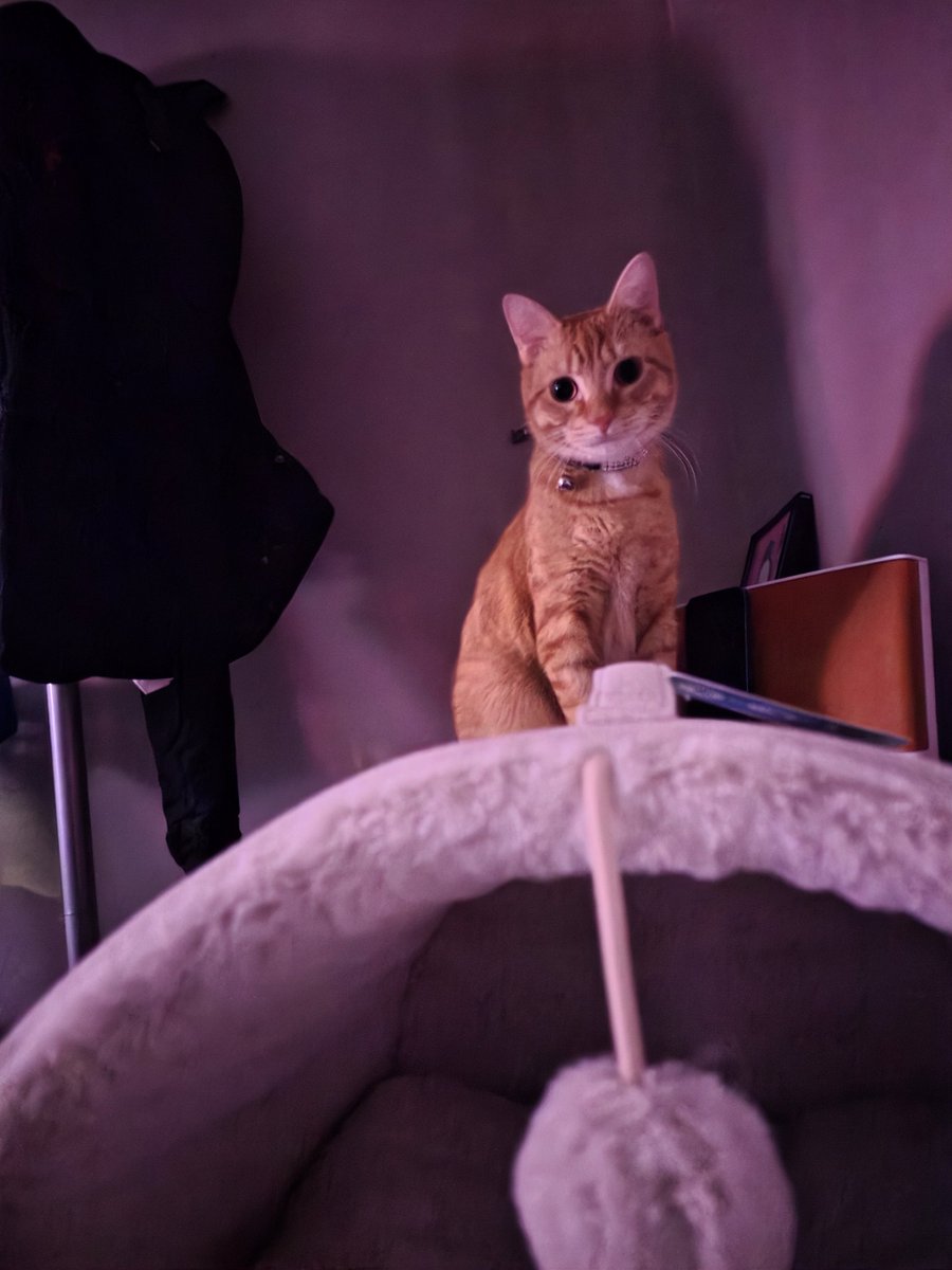 Warwick_IRL's tweet photo. https://t.co/CWLmSAsrD3