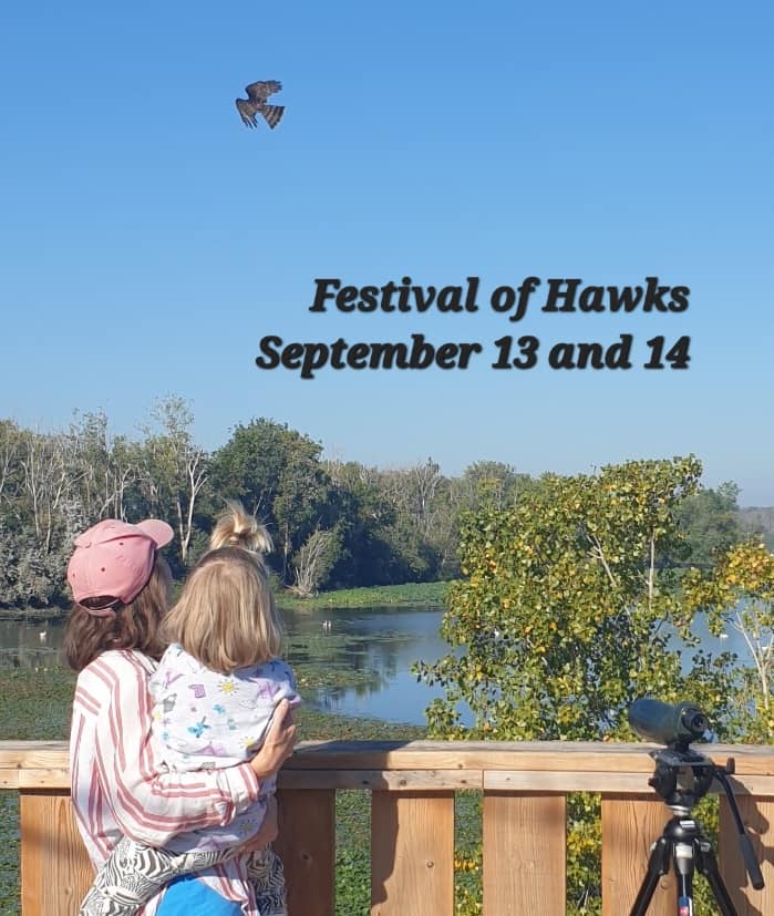 FESTIVAL OF HAWKS THIS WEEKEND!
facebook.com/events/2167906…

<a href="/BirdsCanada/">Birds Canada</a> <a href="/NatureCanada/">Nature Canada</a> <a href="/HawkMigration/">Hawk Migration Association of North America</a> <a href="/TWEPI/">Tourism Windsor Essex</a> <a href="/ECFNC/">Essex County Nature</a> <a href="/RTT_Amherstburg/">River Town Times</a> <a href="/TheWindsorStar/">The Windsor Star</a> <a href="/CBCWindsor/">CBC Windsor</a> <a href="/windsoriteDOTca/">windsoriteDOTca News</a> <a href="/AudubonIBAs/">Important Bird Areas</a> <a href="/ofobirds/">OFO birds</a> <a href="/EyesOnWindsor/">Eric Bonnici</a> <a href="/AM800CKLW/">AM800 CKLW</a> <a href="/CTVWindsor/">CTV Windsor</a> <a href="/essexregionca/">EssexRegionConserve</a>