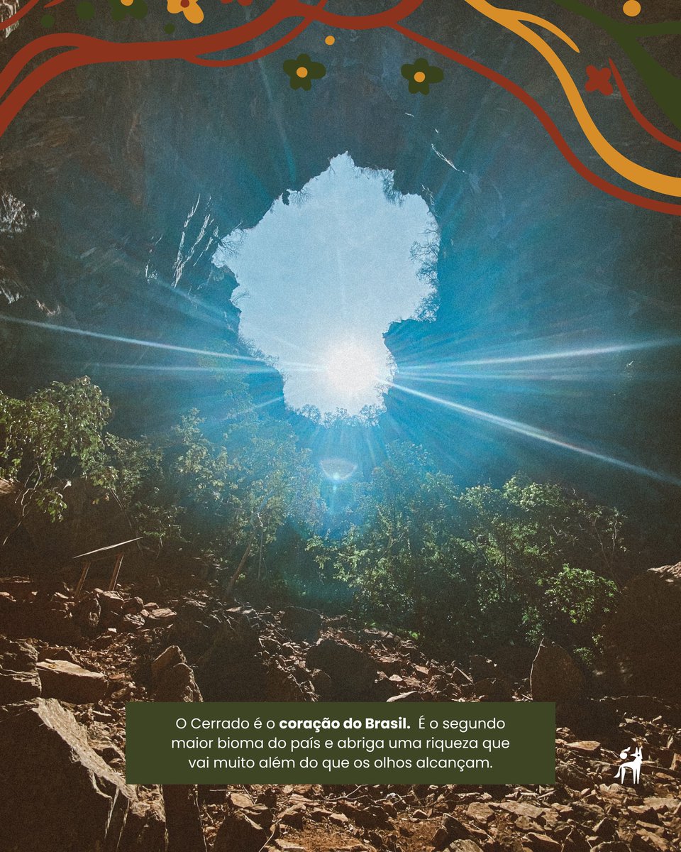 A vida no Cerrado - AVINC tweet media