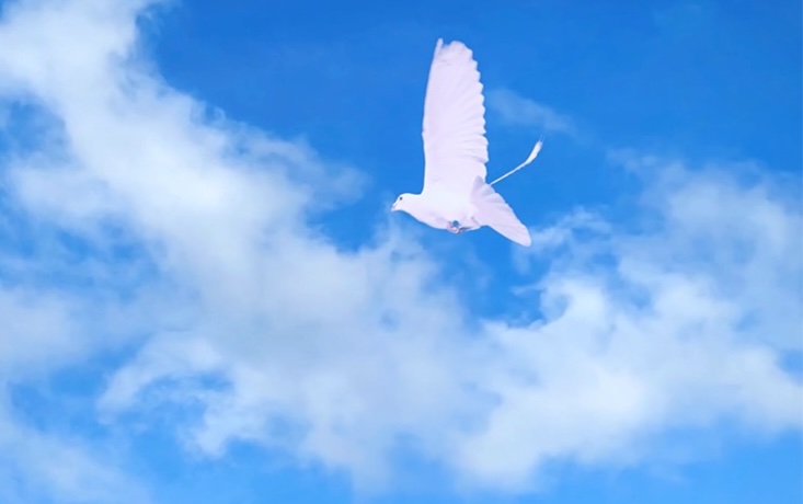 Chuck Wild tweet media