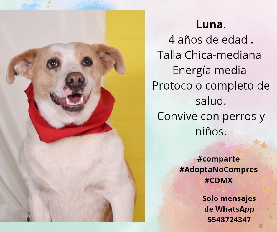 Ayúdanos compartiendo por favor 🙏🏼