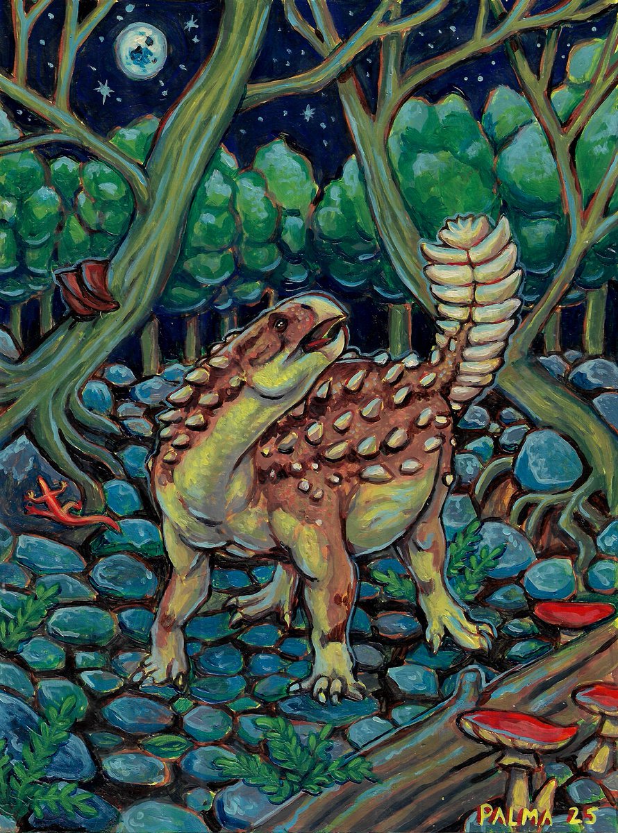 stegouros elengassen