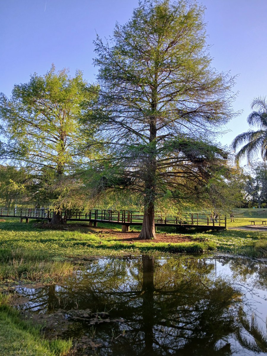 hermoso día el de hoy !