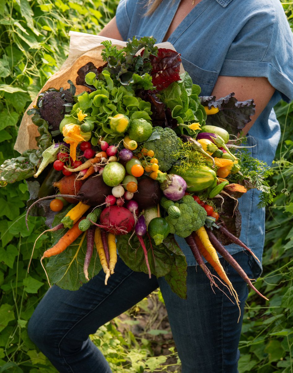 The Chef's Garden tweet media