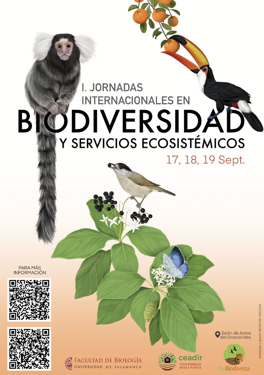 Rodrigo Morchón García tweet media