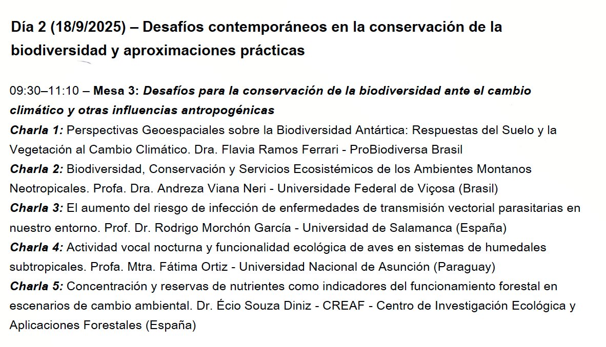 Rodrigo Morchón García tweet media