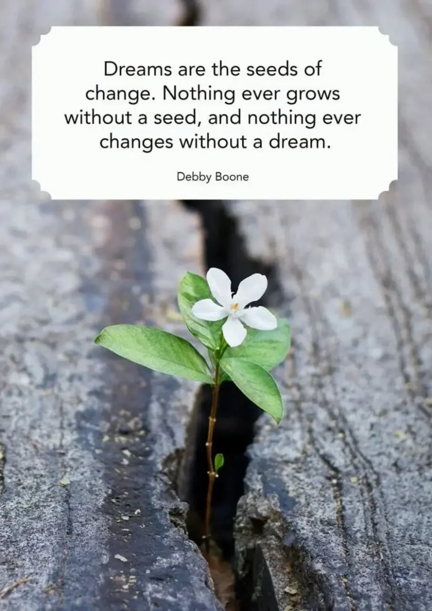 Prin1111110's tweet image. Studies show that cracking a book reduces stress, helps keep your memory sharp, and increases empathy. Basically, reading makes you a better person and it can also help you sleep. For me, I prefer to read children‘s fiction before sleep☺😴