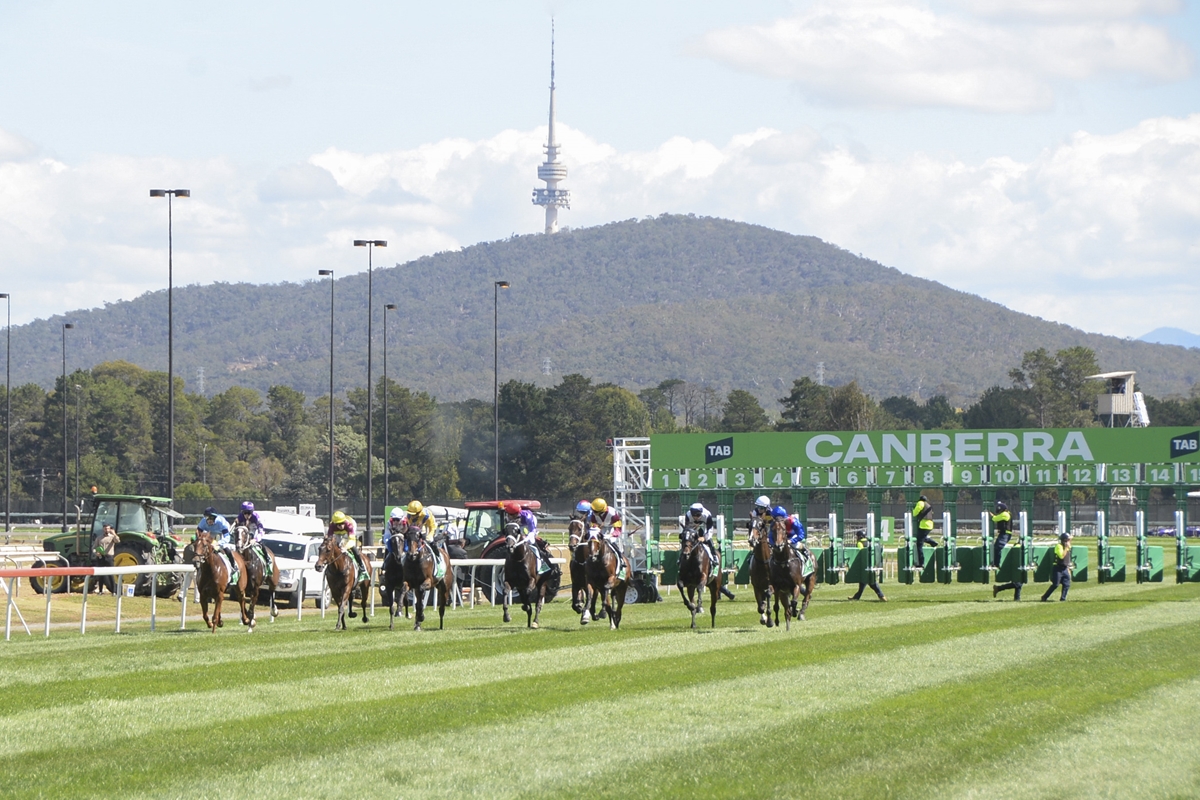 “Our Cup is almost as old as Canberra itself and has provided Canberrans with thrills and unforgettable moments for almost a century.”

“The celebrations will honour the generations of horses, jockeys, trainers, and racing fans who have shaped the Cup’s proud legacy.”

2/3