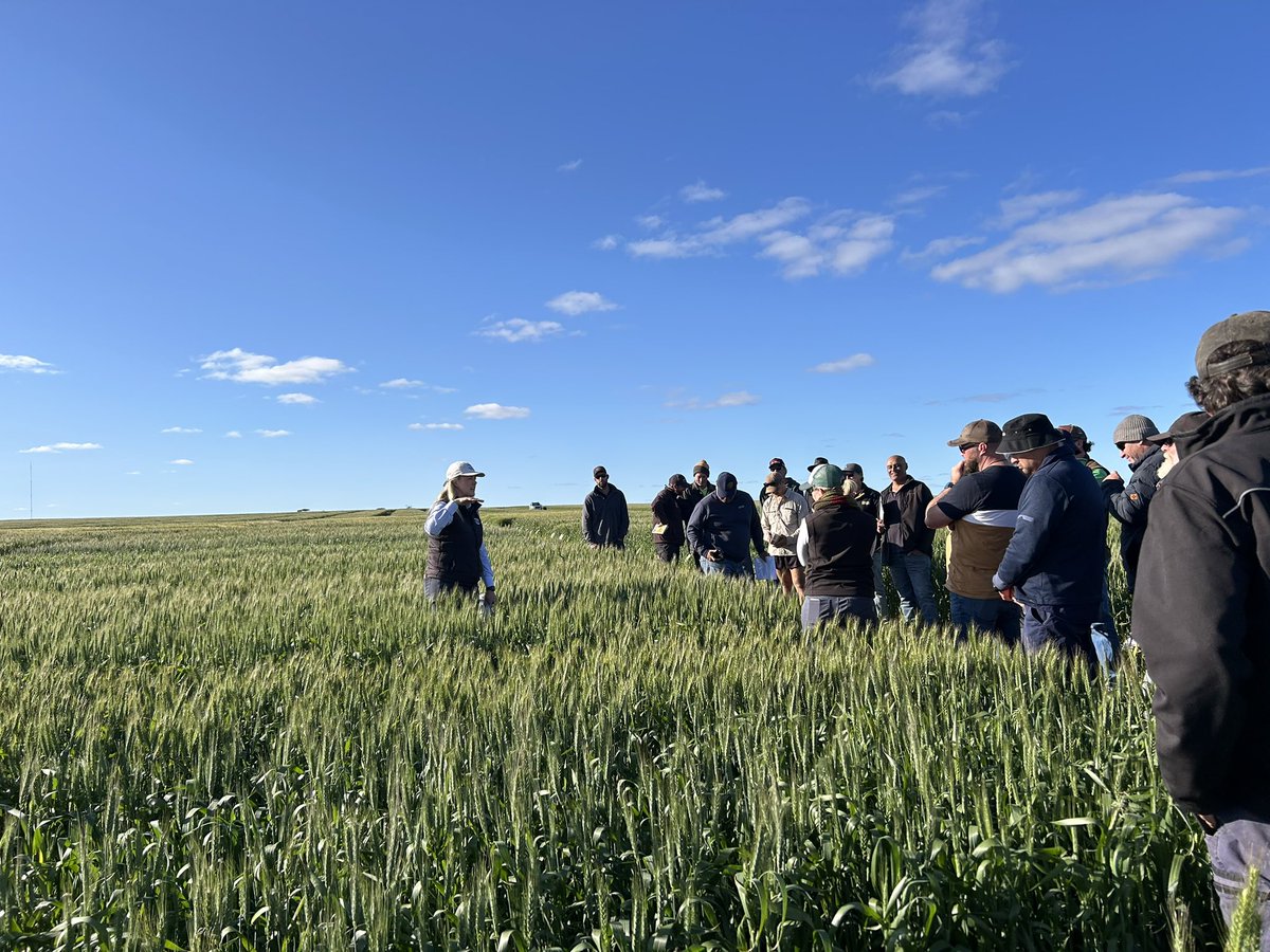 InterGrain tweet media