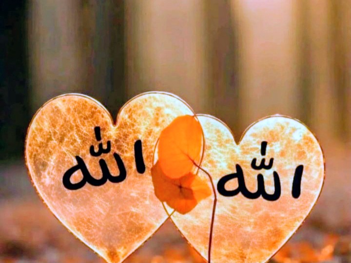 💫 Geçiyor  ÖMÜR  , 
Geçiyor  ZAMAN  ,
Gidiş TEK YÖN  ,
Dönüş YOK  ,
Sahibi  MUTLAKTAN .
Ne  TOPRAK doydu İNSANDAN ,
Ne İNSAN doydu TOPRAKTAN .
             VELHASIL ;
Ayırmasın ALLAH insanı , 
İMAN ' dan KURAN ' dan .
            AMİN 🤲
#günaydın 
#hayırlıcumalar