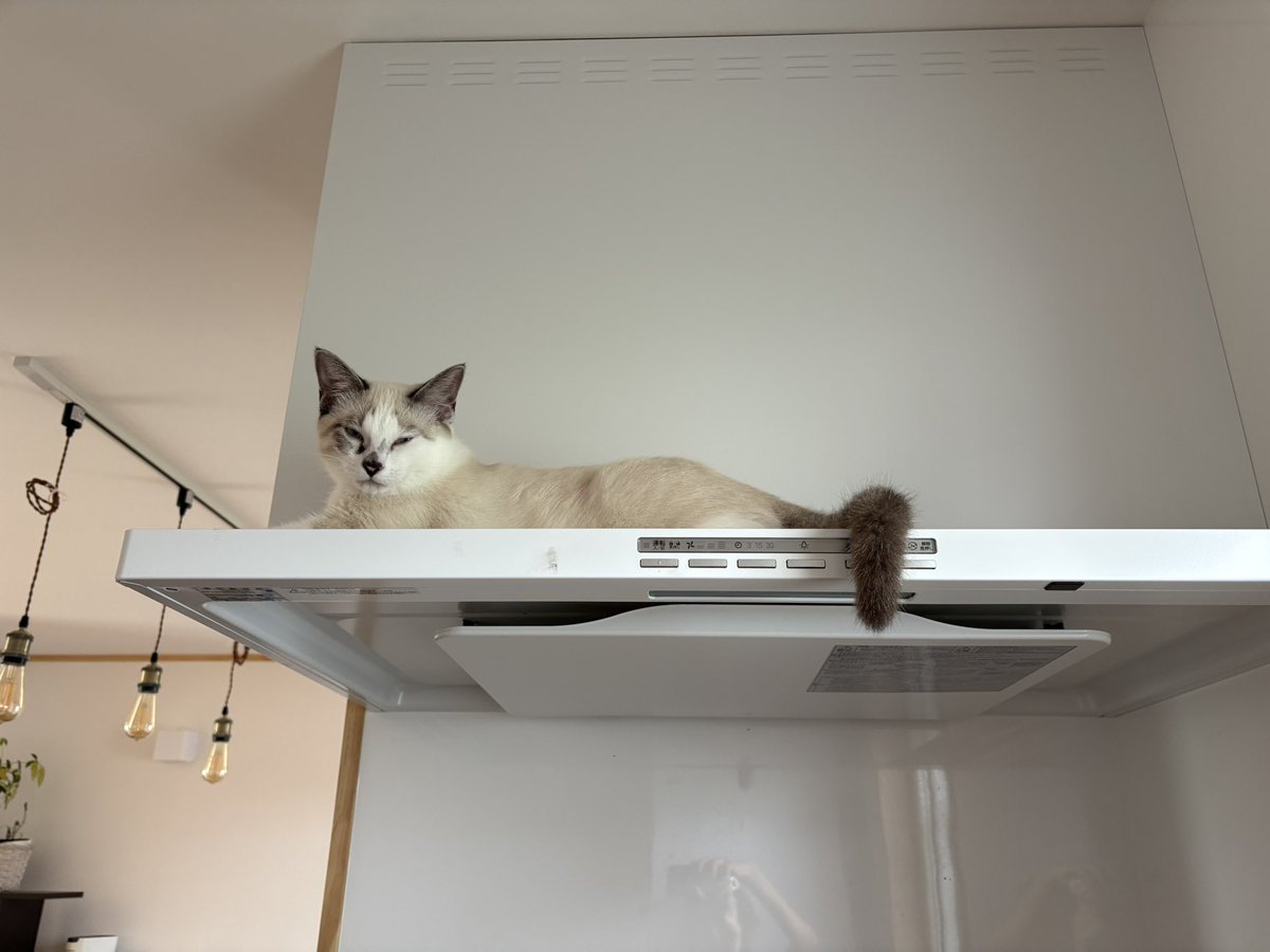 料理できなくなるキッチン