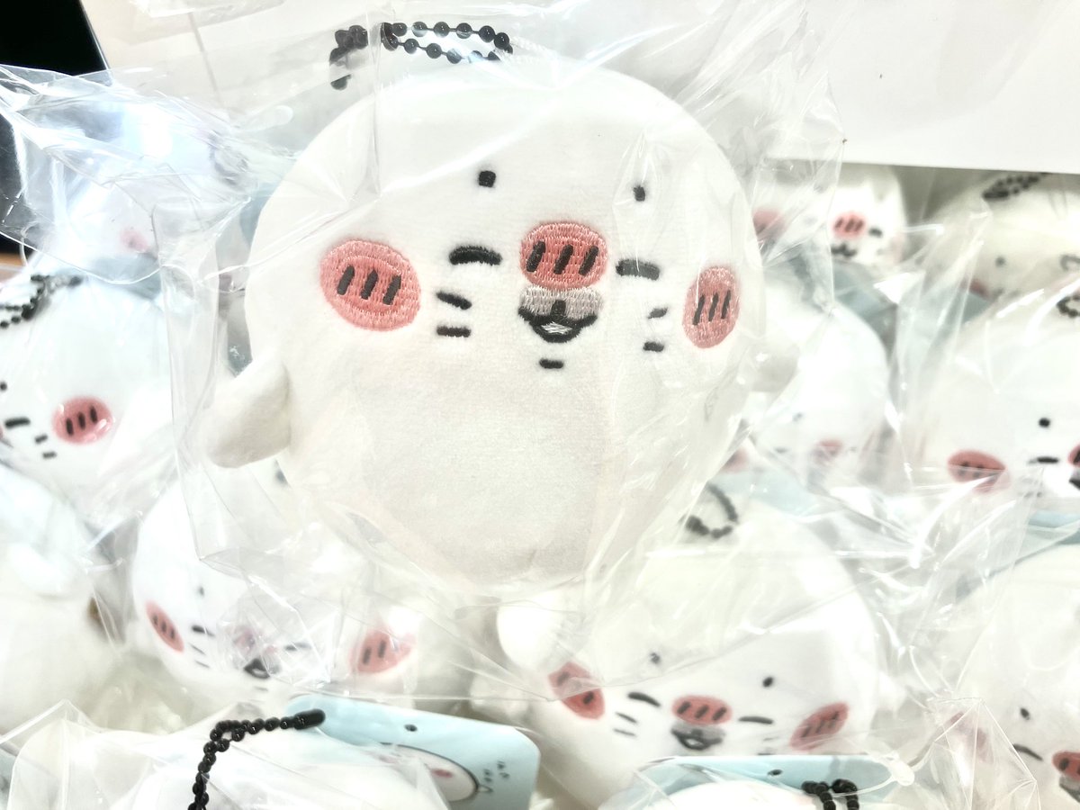 入荷のお知らせ① ／ #ナガノマーケットSAPPORO 新商品が本日から販売