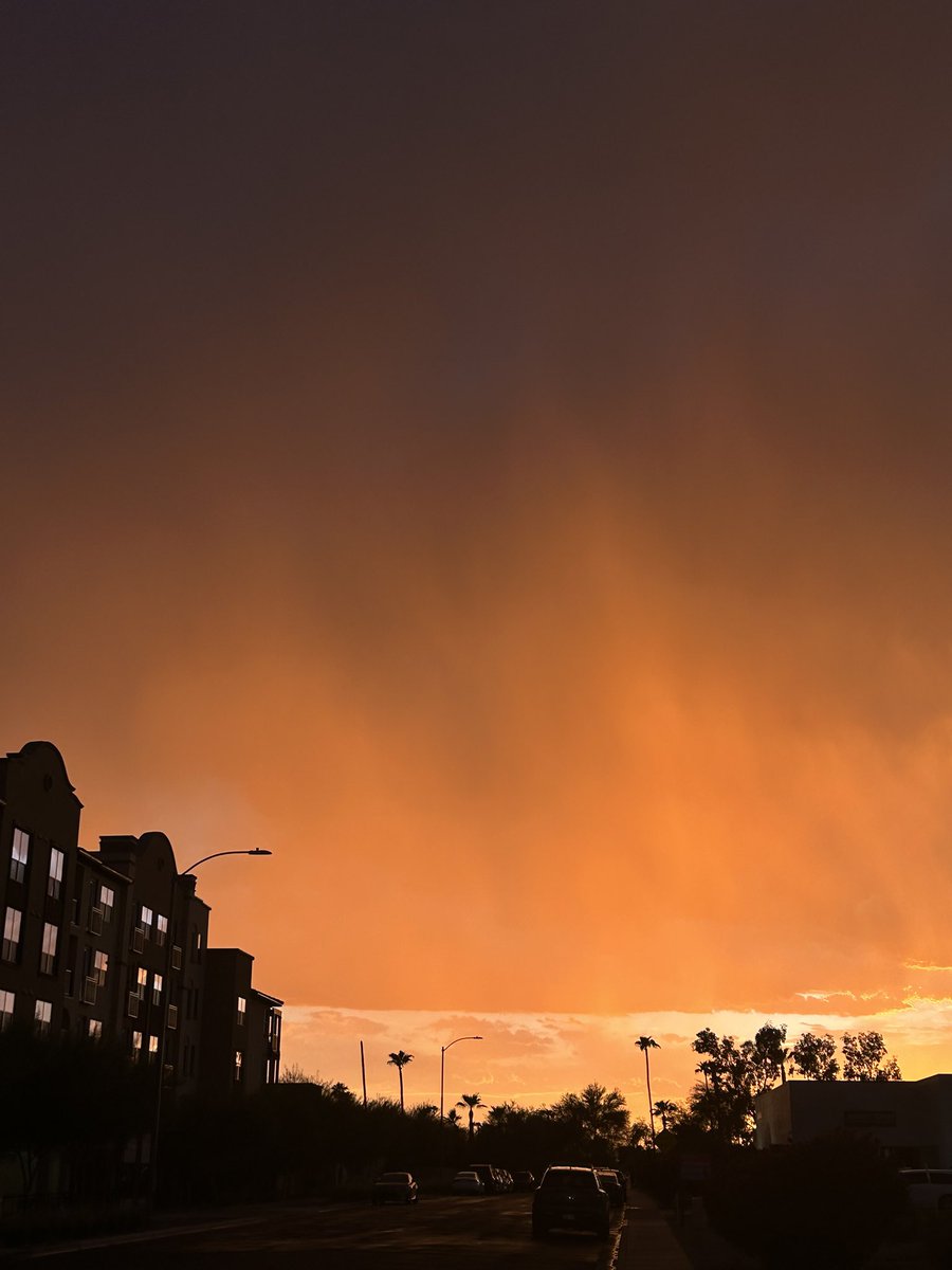 Rodrigo Selingardi tweet media